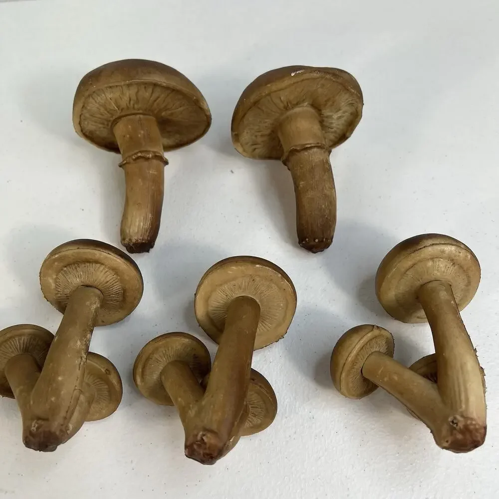 Vintage Lot of 5 Blow Mold Faux Mushrooms Fairy Garden Forrest Decor 70’s‎